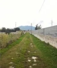 Vendita Agricolo in strada statale 7 bis Vendita Agricolo in strada statale 7 bis