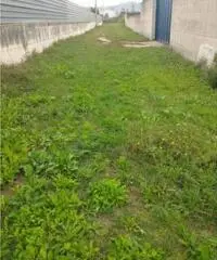 Vendita Agricolo in strada statale 7 bis Vendita Agricolo in strada statale 7 bis