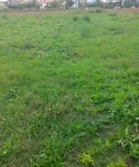 Vendita Agricolo in strada statale 7 bis Vendita Agricolo in strada statale 7 bis