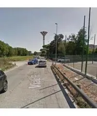 Vendita Agricolo in Via delle Magnolie Vendita Agricolo in Via delle Magnolie