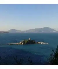 Vendita Agricolo in Via Inferno, 00 Vendita Agricolo in Via Inferno, 00