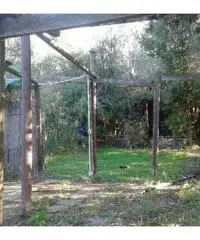 Vendita Agricolo in Via Inferno, 00 Vendita Agricolo in Via Inferno, 00
