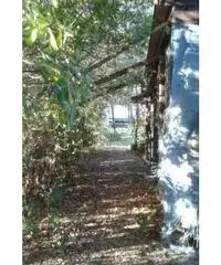 Vendita Agricolo in Via Inferno, 00 Vendita Agricolo in Via Inferno, 00