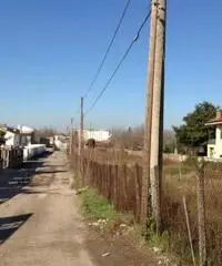PALMA Via Trieste - Terreno 3.500 mq. zona D1 PALMA Via Trieste - Terreno 3.500 mq. zona D1