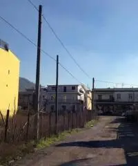 PALMA Via Trieste - Terreno 3.500 mq. zona D1 PALMA Via Trieste - Terreno 3.500 mq. zona D1