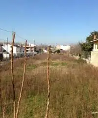 PALMA Via Trieste - Terreno 3.500 mq. zona D1 PALMA Via Trieste - Terreno 3.500 mq. zona D1