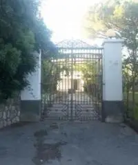 Colli Di San Pietro: Vendita Cinque locali in Via Bosco Colli Di San Pietro: Vendita Cinque locali in Via Bosco