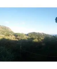Colli Di San Pietro: Vendita Cinque locali in Via Bosco Colli Di San Pietro: Vendita Cinque locali in Via Bosco