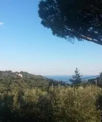 Colli Di San Pietro: Vendita Cinque locali in Via Bosco Colli Di San Pietro: Vendita Cinque locali in Via Bosco