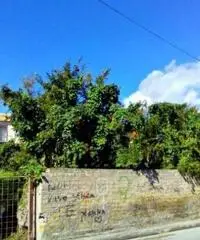 Vendita Cinque locali in Via Tenente Luigi Rossi Vendita Cinque locali in Via Tenente Luigi Rossi