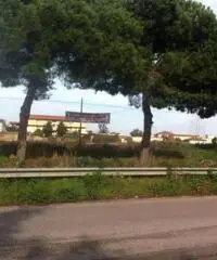RifITI 019-5012 - Terreno Agricolo in Vendita a Giugliano in Campania di 10000 mq RifITI 019-5012 - Terreno Agricolo in Vendita a Giugliano in Campania di 10000 mq