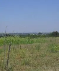 Vendita Agricolo in Via Campana Vendita Agricolo in Via Campana
