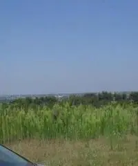 Vendita Agricolo in Via Campana Vendita Agricolo in Via Campana