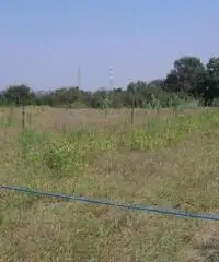 Vendita Agricolo in Via Campana Vendita Agricolo in Via Campana
