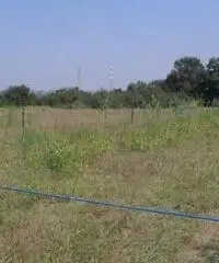 Vendita Agricolo in Via Campana Vendita Agricolo in Via Campana