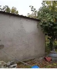 Vendita Agricolo in Via Ceraso Vendita Agricolo in Via Ceraso