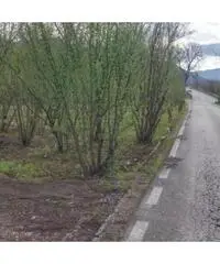 Vendita Agricolo in Via Trivio