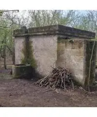 Vendita Agricolo in Via Trivio