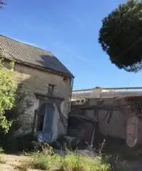 Vendita Cinque locali in Via Maria Montessori