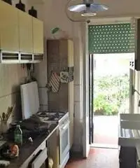 Lavinio-Lido di Enea: Vendita Bilocale in Via delle Meduse Lavinio-Lido di Enea: Vendita Bilocale in Via delle Meduse