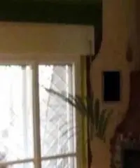 Lavinio-Lido di Enea: Vendita Bilocale in Viale Roma