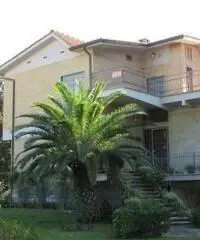 Lido Dei Pini: Vendita Villa in Via delle Azalee Lido Dei Pini: Vendita Villa in Via delle Azalee