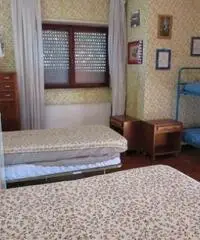 Lido Dei Pini: Vendita Villa in Via delle Azalee Lido Dei Pini: Vendita Villa in Via delle Azalee