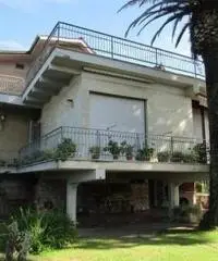 Lido Dei Pini: Vendita Villa in Via delle Azalee Lido Dei Pini: Vendita Villa in Via delle Azalee