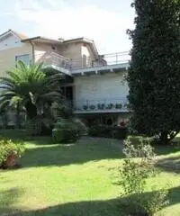 Lido Dei Pini: Vendita Villa in Via delle Azalee Lido Dei Pini: Vendita Villa in Via delle Azalee
