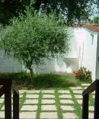 RifITI 029-AA31/307 DB - Villa a schiera in Vendita a Ardea - NUOVA FLORIDA di 150 mq RifITI 029-AA31/307 DB - Villa a schiera in Vendita a Ardea - NUOVA FLORIDA di 150 mq