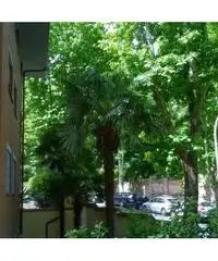 Rif: Roma - GIANICOLO - VIA NICOLA FABRIZI a due passi da TRASTEVERE immerso nel verde, in palazzina Rif: Roma - GIANICOLO - VIA NICOLA FABRIZI a due passi da TRASTEVERE immerso nel verde, in palazzina
