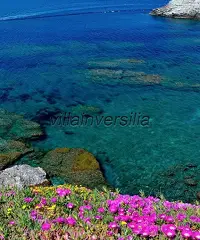 Villetta a schiera in vendita a Porto Torres 68 mq  Rif: 384340