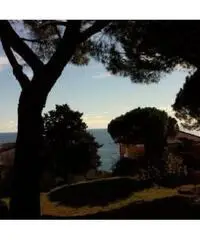 Vendita appartamento mq. 40 - Pietra Ligure Vendita appartamento mq. 40 - Pietra Ligure