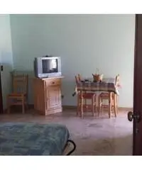 Vendita appartamento mq. 40 - Pietra Ligure Vendita appartamento mq. 40 - Pietra Ligure