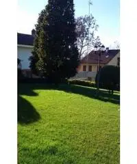 Vendita Villa in Via Alessandria