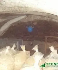 Vendita Villa da 75mq