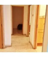 Casa singola angolare con box Casa singola angolare con box