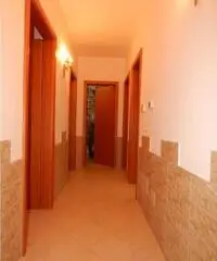Vendita Quadrilocali in Via Carmelo Colamonico Vendita Quadrilocali in Via Carmelo Colamonico