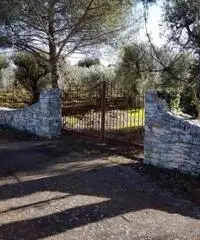 Vendita Villa in Strada Comunale Pentimelle Vendita Villa in Strada Comunale Pentimelle