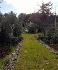 Vendita Villa in Strada Comunale Pentimelle Vendita Villa in Strada Comunale Pentimelle