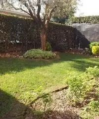 Comonte -  appartamento 3 locali € 165.000 T3493IH Comonte -  appartamento 3 locali € 165.000 T3493IH