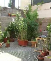 RifITI 013-AA20373 - Villetta bifamiliare in Vendita a Dozza di 130 mq RifITI 013-AA20373 - Villetta bifamiliare in Vendita a Dozza di 130 mq