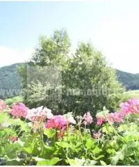 Vendita Trilocale in Pitzacker Rasun di Sopra