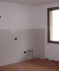 V000864 - Carpenedolo V000864 - Carpenedolo