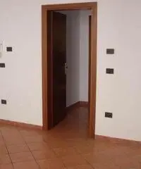 V000864 - Carpenedolo V000864 - Carpenedolo
