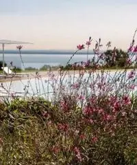 Vendita Quadrilocali in Via Giuseppe Verdi