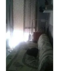 CASA AL MARE – CAMPOMARINO LIDO - VERO AFFARE