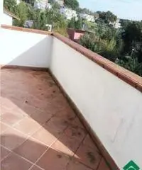 Vendita Trilocale in via cecco angiolieri, 36 Vendita Trilocale in via cecco angiolieri, 36