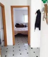 Vendita Trilocale in via cecco angiolieri, 36 Vendita Trilocale in via cecco angiolieri, 36