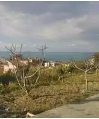 Vendita Villa in via Pezzotti, 6 Vendita Villa in via Pezzotti, 6